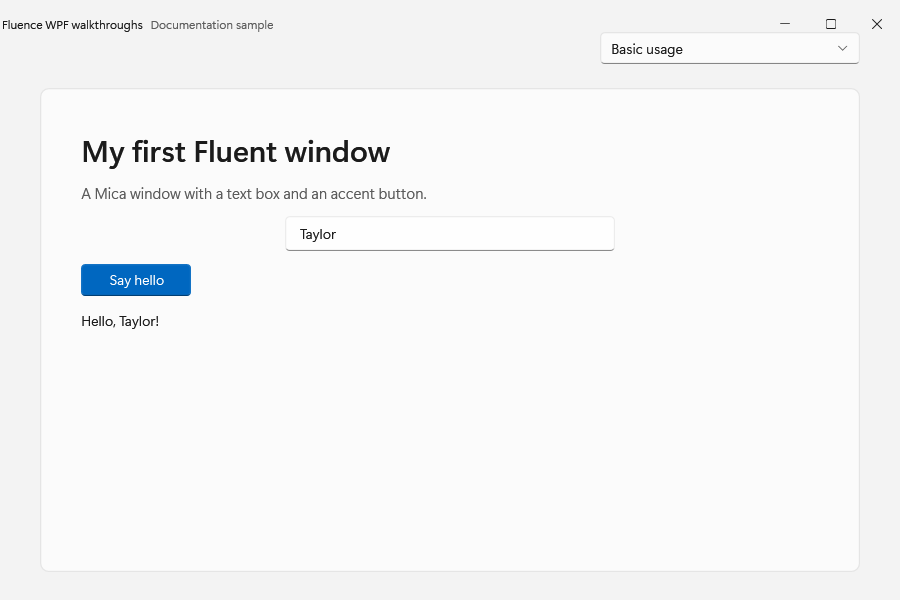 Basic Usage window in light mode